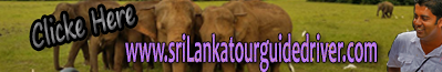 Sri lanka tour guide driver MoreDetails